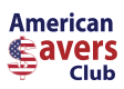 610_americansavers-v42x